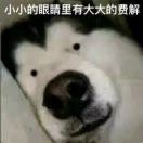 目前挚爱汤达人
