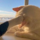 凌晨三点的太阳_105