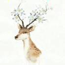 用户59781388的头像-深度文库