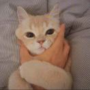 吴大迪🔥的头像-邻而帮（02bang.com）