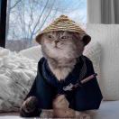 蕜悲ヾ悲魂曲的头像-小狐狸资源网-