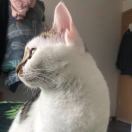 曹先生的头像