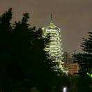 未来有你