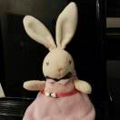 bunny