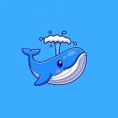海豚