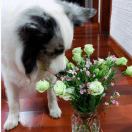 清风徐来店主头像