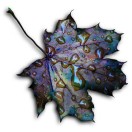 0c14ff6e94f0446f's Avatar