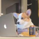 沙扬娜拉对你说