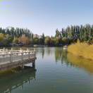 @莫言-秀琴曲谱网