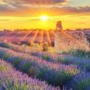 张文敏<span class="io-vip-comment-badge"><span class="vip-level-badge" style="--iovips-level-color:#9ca3af;"><i class="fa fa-user"></i> 普通会员</span></span>