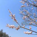 wangouou的头像-日本！日本语