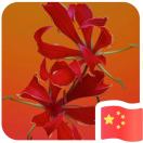 翁生的头像-博士钣金 - www.bsbanjin.com