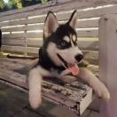 ღ᭄ᝰꫛꫀꪟ⁵²_297