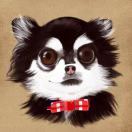 wokes's Avatar