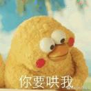 海大将军