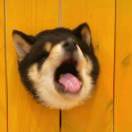 132