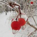 Still Loving You-Aliza