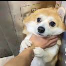 田斌