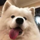 user icon