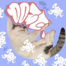 Doze