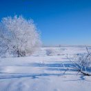 雪野岑寂