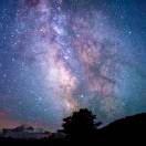 钢木的头像-cok论坛 - AGREE动漫游戏