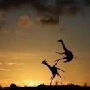 域鑒double lucky的店鋪