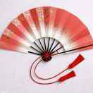 女雅扇子-彭彦6936