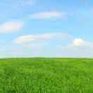 刘嘉伟（舍为）的头像-传承国学正统持焰学堂