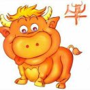 赵先生的头像