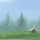 负我不负她DJ版·赵洋