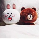 太阳花🌻🌻🌻