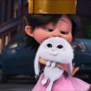 黛山眉的头像-熵减岛