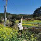 过滤棉过滤器材料-zhong