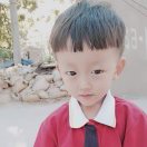 A夏邑竹木批发.王.15617023533