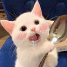 马丽