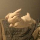 【恋人】李荣浩