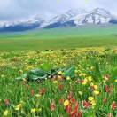 河西学院-吴建军的头像-秀琴曲谱网