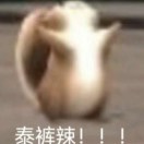 杨明杰的头像-博士钣金 - www.bsbanjin.com
