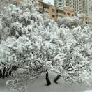 天山冰雪