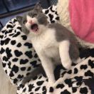 快乐巅峰的头像-传承国学正统持焰学堂