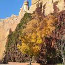 陈斯的头像-风行者社区