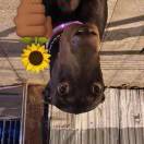 用户85507678的头像-博士钣金 - www.bsbanjin.com