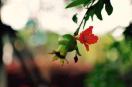 春暖花开