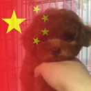 陈女士的头像