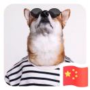 曾曾日上的头像-博士钣金 - www.bsbanjin.com