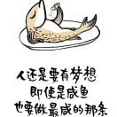 A****龙