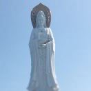人來(lái)瘋！