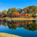 一馬平川
