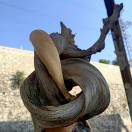 域鑒天馬行空????的店鋪